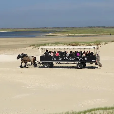 In Near Texel